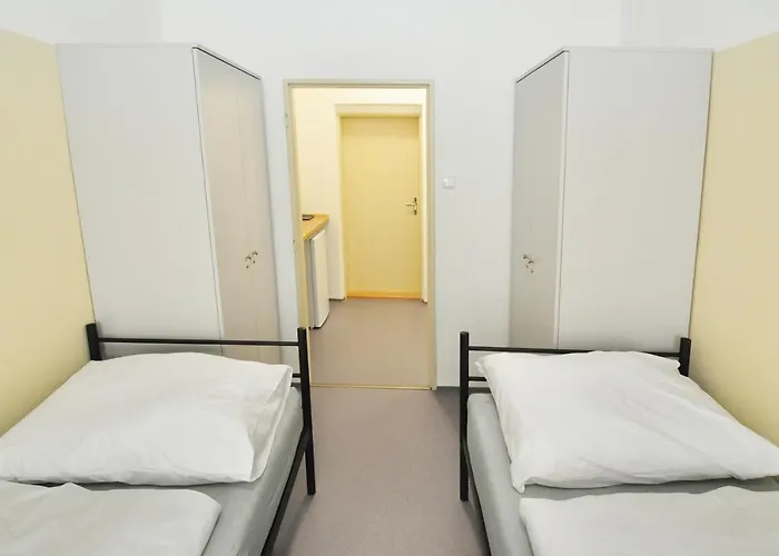 بيت شباب Tereza